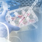 Medicina regenerativa: entenda mais sobre o tratamento com células-tronco