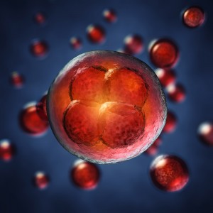 cryogene