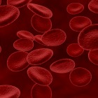 Estudos buscam curar a Hemofilia com células-tronco